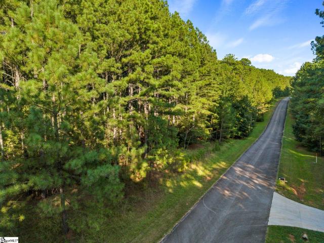 Land for sale in Iva, Anderson County