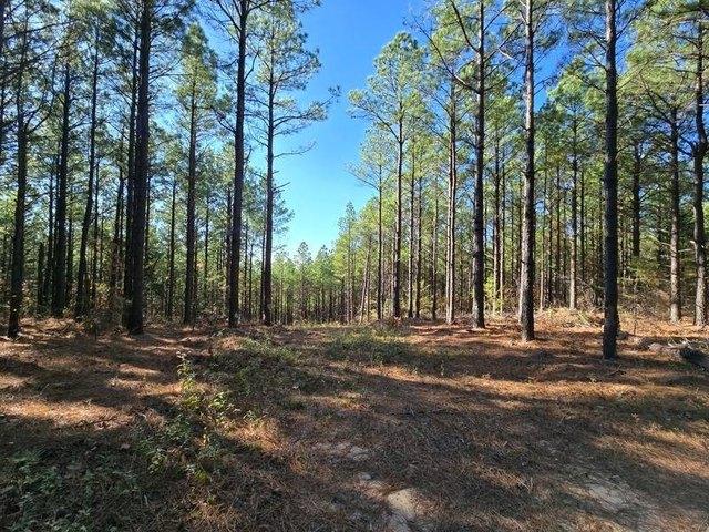 Land for sale in Heavener, LeFlore County