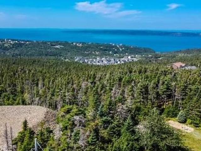 Land for sale in Bauline, Newfoundland And Labrador