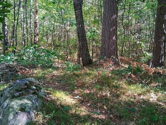 Land for sale in Town of Lake Tomahawk, Oneida County