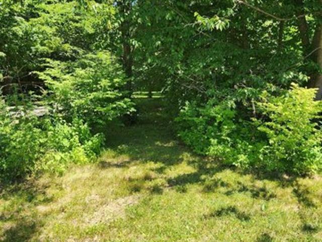 Land for sale in Canton, Connecticut