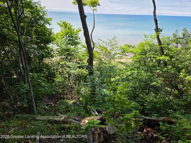 Land for sale in Michigan