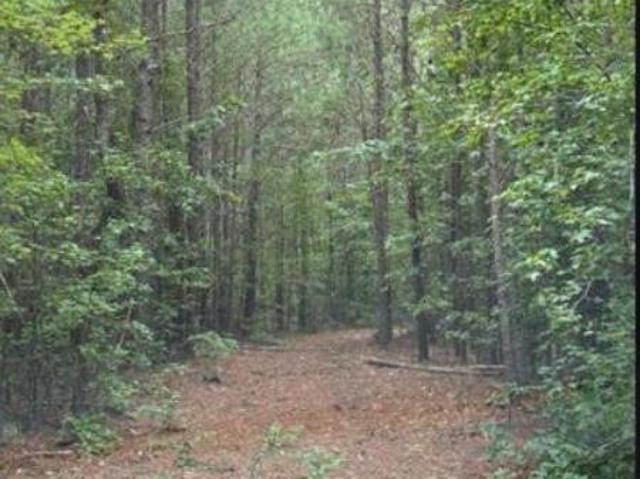 Land for sale in Ninety Six, South Carolina