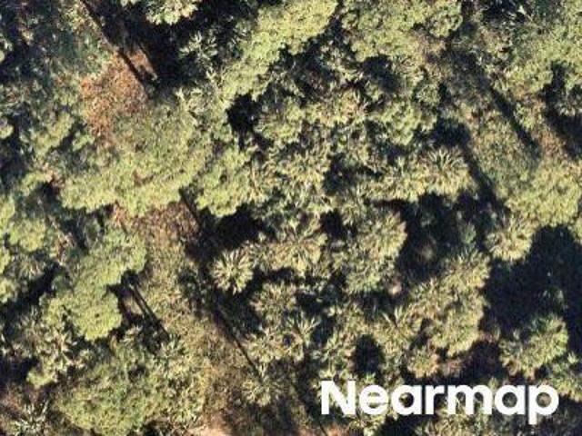 Land for sale in Florida