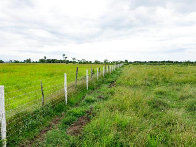 Land for sale in Nanyuki, Laikipia
