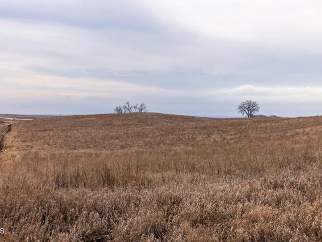 Land for sale in Turtle Lake, North Dakota