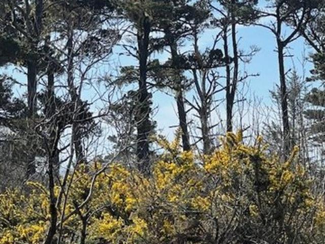 Land for sale in Oregonia
