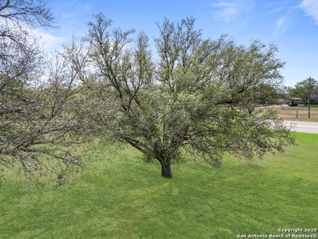 Land for sale in Wilson, Texas