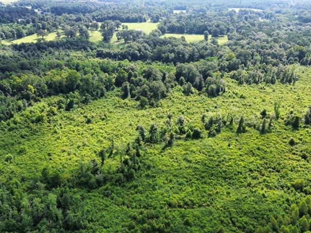 Land for sale in Newton, Texas