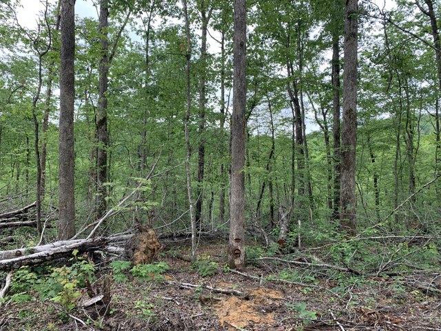 Land for sale in Laurel, Kentucky
