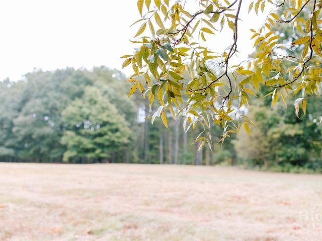 Commercial for sale in Lake Forest, Watkinsville