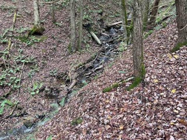 Land for sale in South Royalton, Vermont