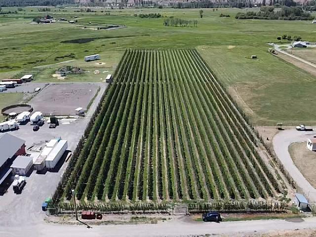 Land for sale in Cawston, British Columbia