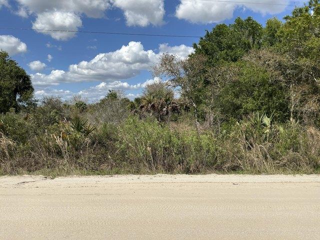 Land for sale in Okeechobee, Florida