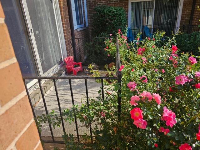 Condo for sale in Mount Prospect, Cook County