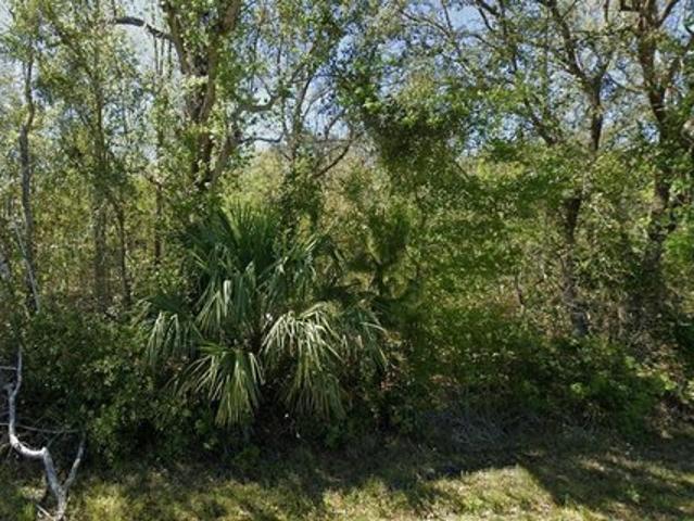 Land for sale in Port Orange, Volusia County