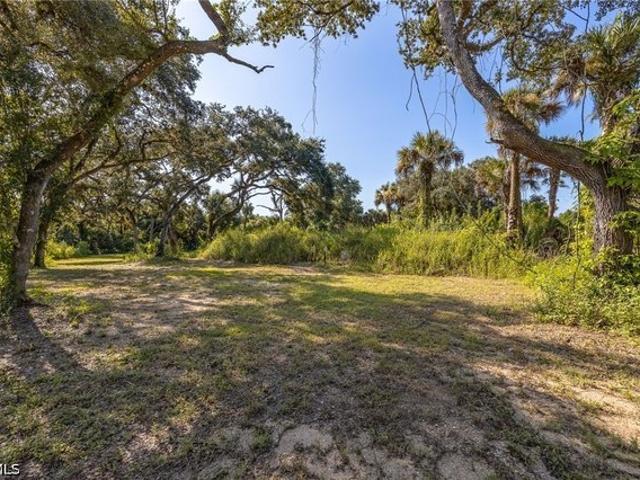 Land for sale in Alva, Florida