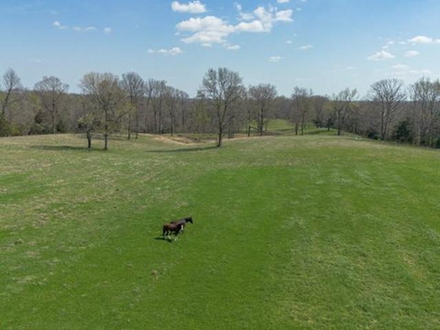 Farm for sale in Tennessee