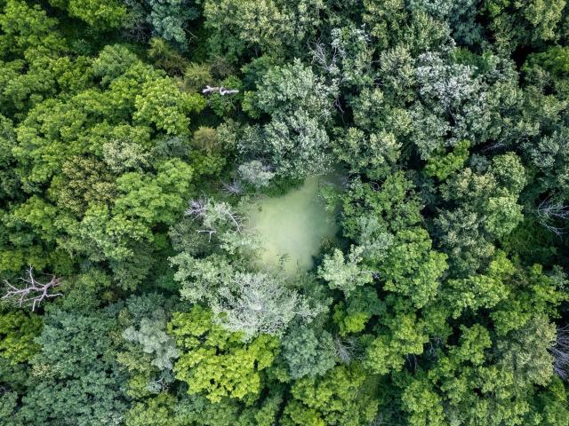 Land for sale in Illinois
