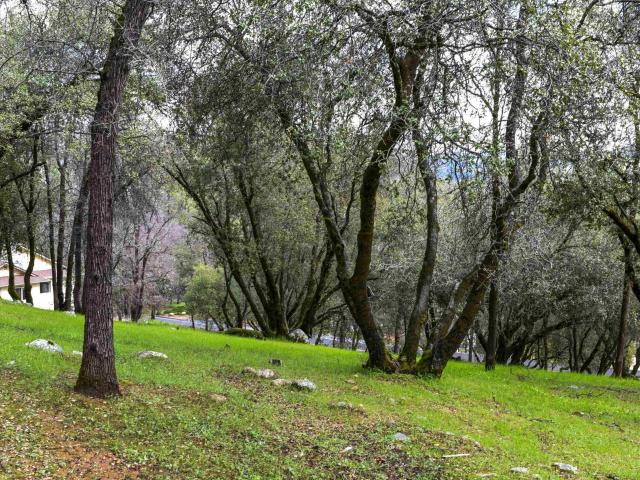 Land for sale in Sonora, California