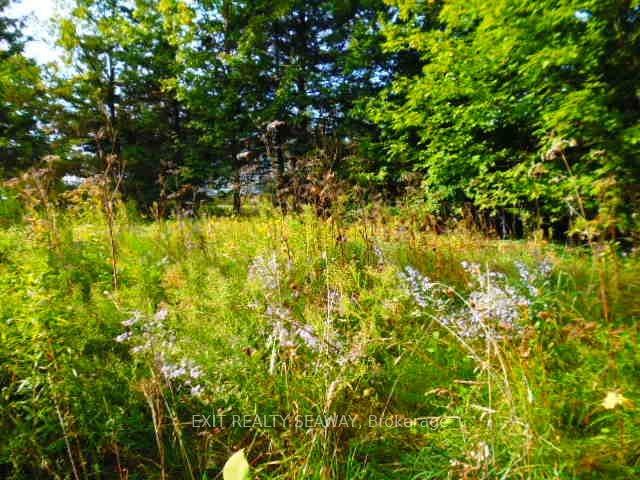 Land for sale in North Glengarry, Ontario