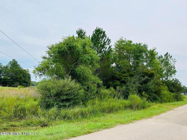 Land for sale in Mississippi