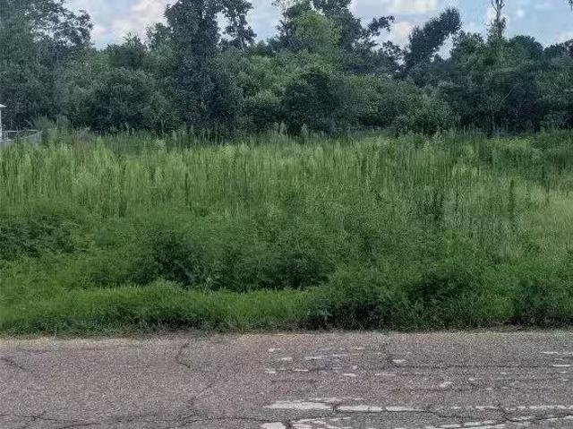 House for rent in Selma