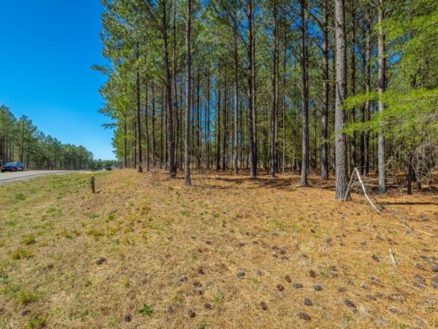 Land for sale in Jasper, East Tennessee