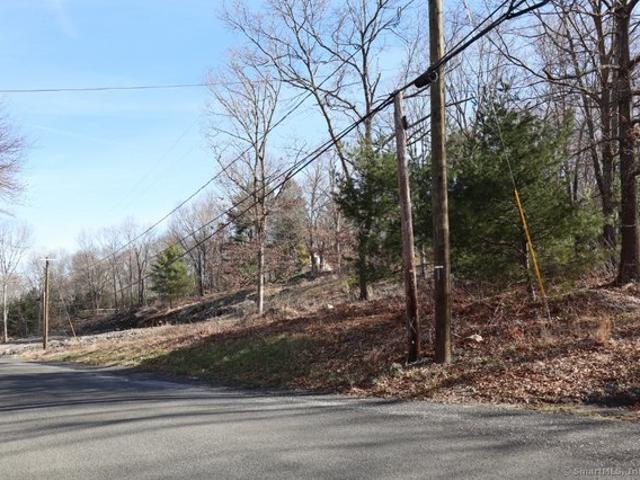 Land for sale in Bridgewater, Connecticut