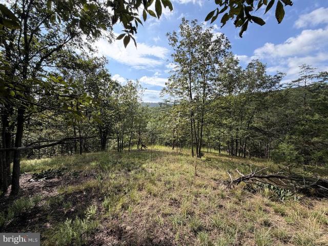 Land for sale in Romney, West Virginia