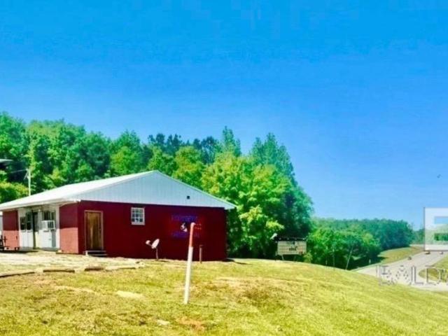 Land for sale in Alabama