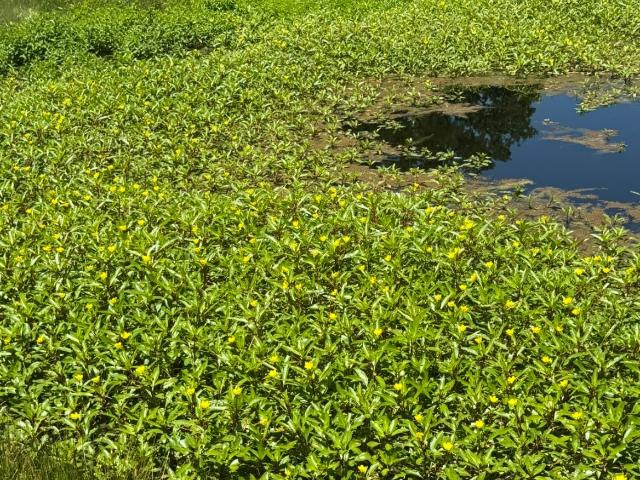 Land for sale in Grimes, Texas