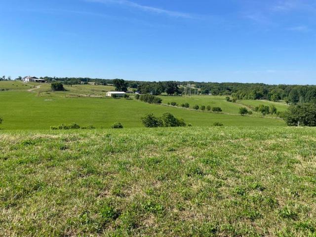 Land for sale in Cynthiana, Kentucky