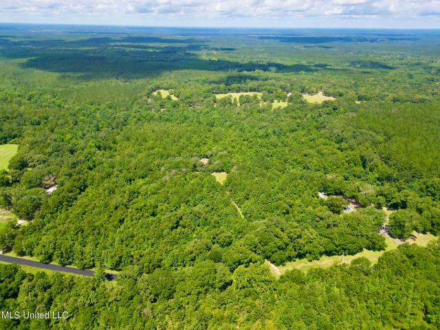 Land for sale in Lumberton, Mississippi