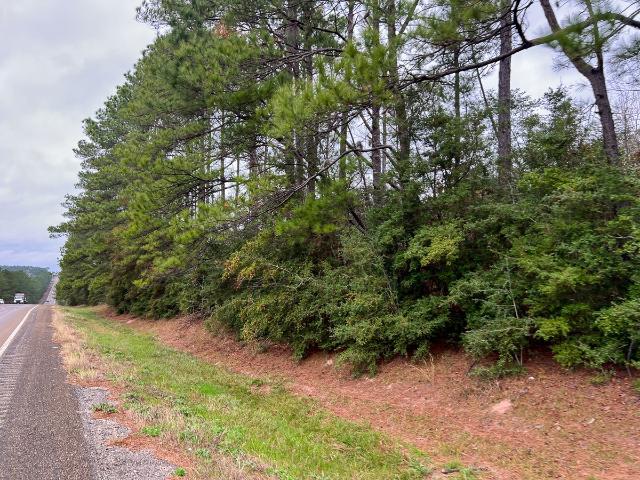Land for sale in Newton, Texas