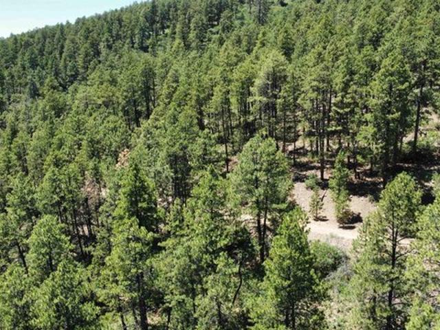 Land for sale in La Plata, Colorado