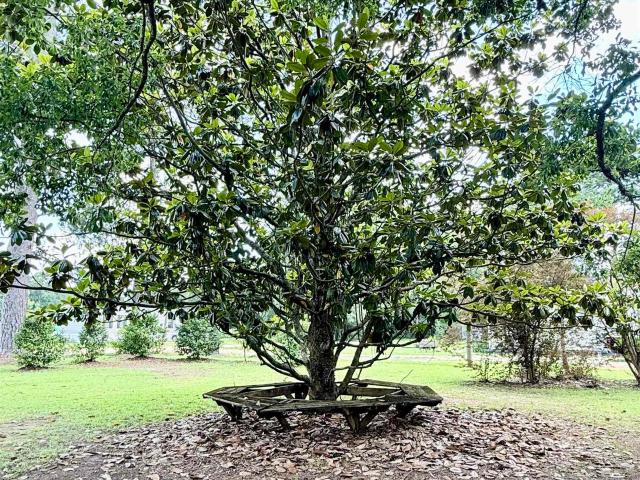 House for sale in Frisco City, Alabama