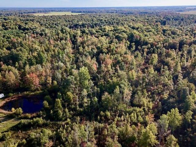 Land for sale in Twining, Arenac County
