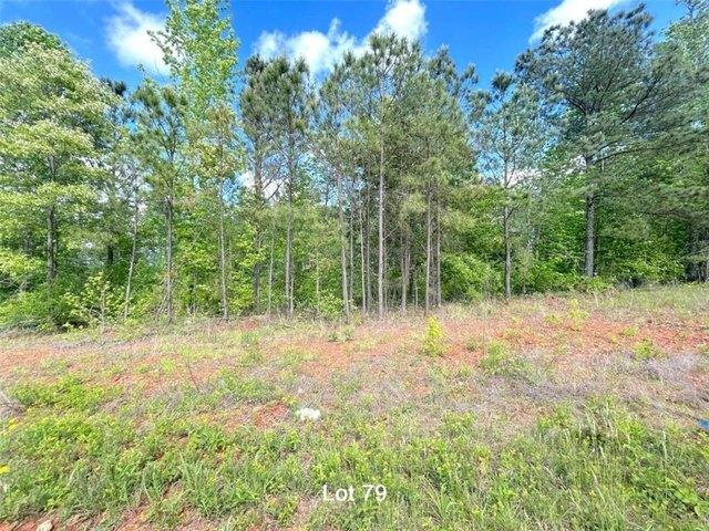 Land for sale in Temple, Georgia