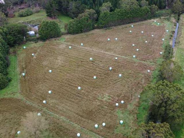 Land for sale in Southland