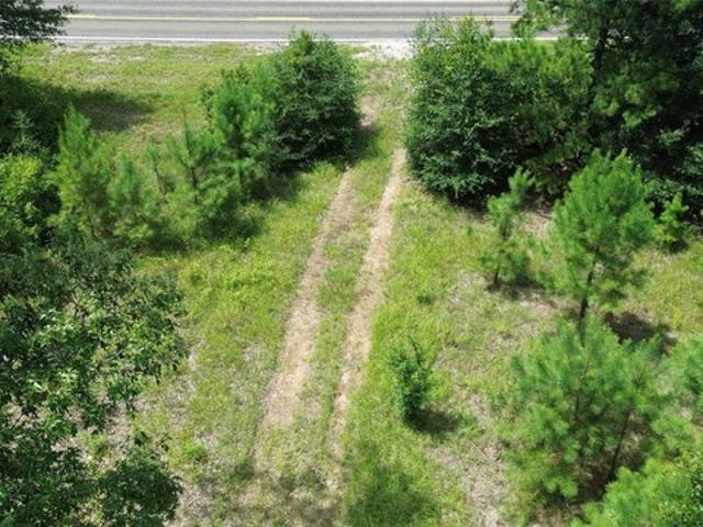 Land for sale in Newton, Texas