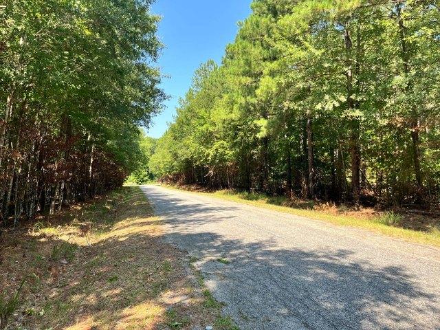 Land for sale in Ware Shoals, South Carolina