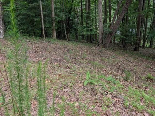 Land for sale in Blairsville, Georgia
