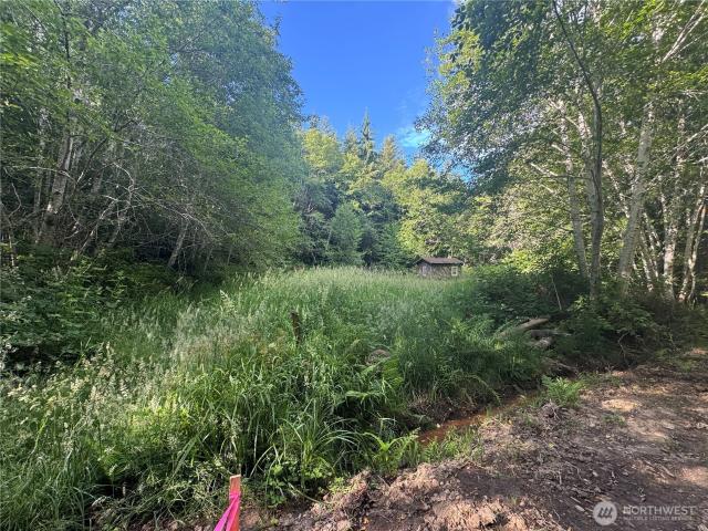 Land for sale in Elma, Washington