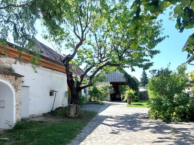 Haus kaufen in St. Margarethen im Burgenland Haus kaufen in St. Margarethen im Burgenland