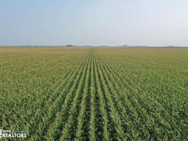 Farm for sale in Goldfield, Iowa