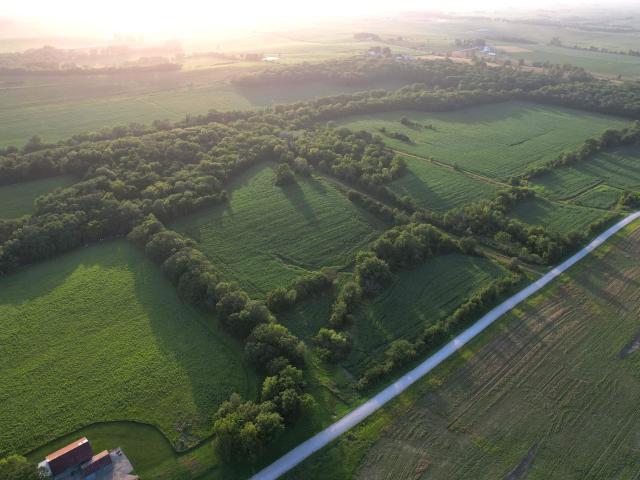 Farm for sale in Sigourney, Iowa