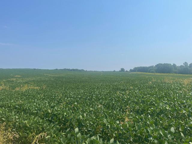 Land for sale in Wisconsin
