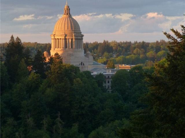 Condo for sale in Thurston, Washington
