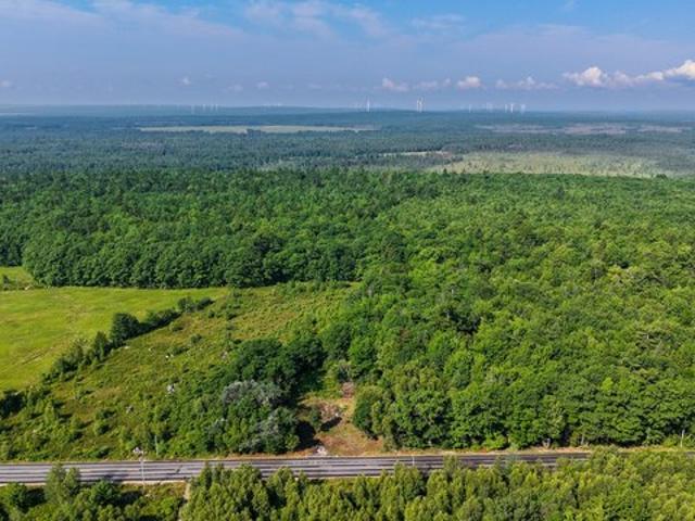 Land for sale in Cherryfield, Maine